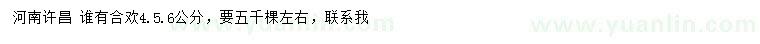 求購4、5、6公分合歡