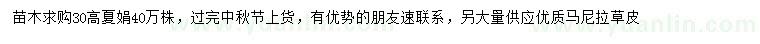 求購(gòu)高30公分夏娟
