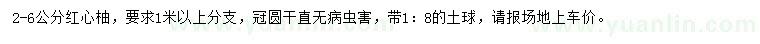 求購2-6公分紅心柚