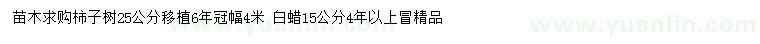 求購(gòu)25公分柿子樹