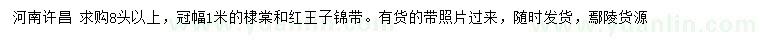 求購(gòu)8公分以上棣棠、紅王子錦帶