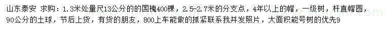 求購1.3米處量尺13公分國槐