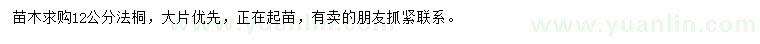 求購12公分法桐