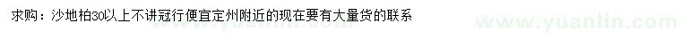 求購30公分以上沙地柏