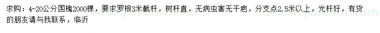求購(gòu)4-20公分國(guó)槐