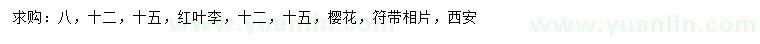 求購8、12、15公分紅葉李、12、15公分櫻花
