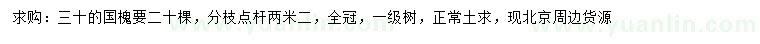 求購30公分國槐