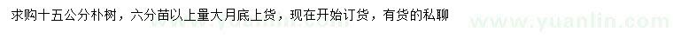 求購15公分樸樹