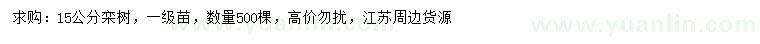 求購15公分欒樹