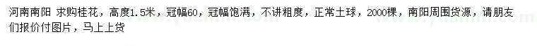 求購(gòu)高度1.5米桂花