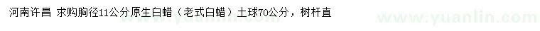 求購胸徑11公分原生白蠟（老式白蠟）