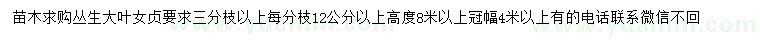 求購冠幅4米以上叢生大葉女貞