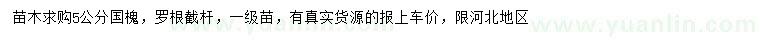求購5公分國槐