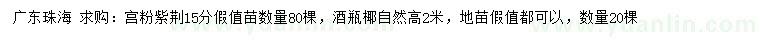 求購15公分宮粉紫荊假值苗