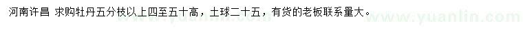 求購(gòu)高40、50公分牡丹