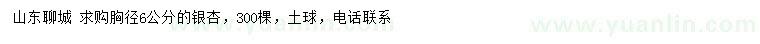 求購胸徑6公分銀杏