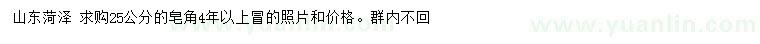 求購25公分皂角