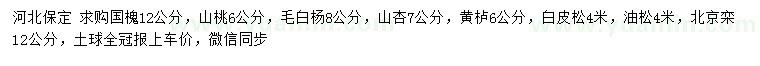 求購國槐、山桃、毛白楊等