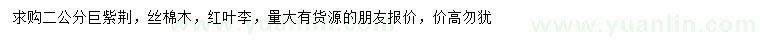 求購(gòu)巨紫荊、絲棉木、紅葉李