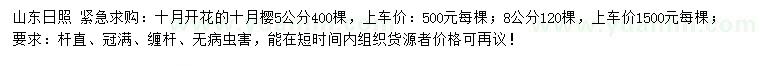 求購5、8公分十月櫻