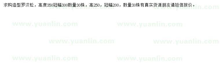 求購高度250、350公分造型羅漢松