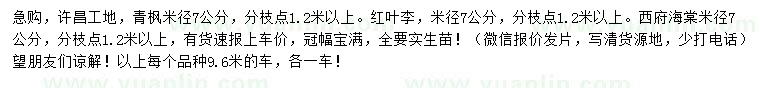求購青楓、紅葉李、西府海棠