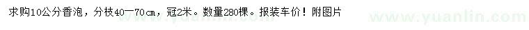 求購(gòu)10公分香泡