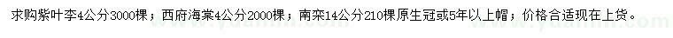 求購紫葉李、西府海棠、南欒