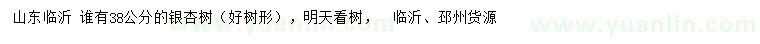求購(gòu)38公分銀杏