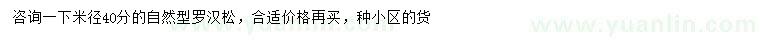 求購米徑40公分羅漢松