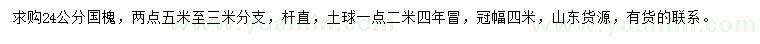 求購24公分國槐