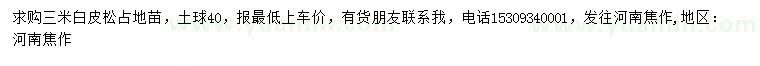 求購(gòu)3米白皮松