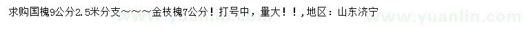 求購9公分國槐、7公分金枝槐