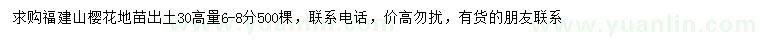 求購6-8公分福建山櫻花