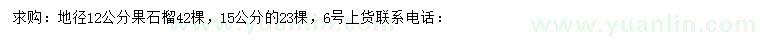 求購地徑12、15公分果石榴