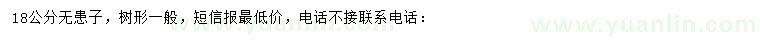 求購(gòu)18公分無(wú)患子