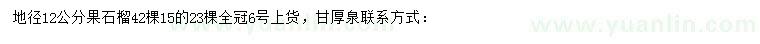 求購12、15公分果石榴樹