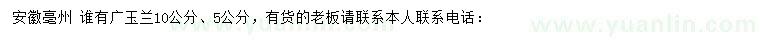 求購5、10公分廣玉蘭