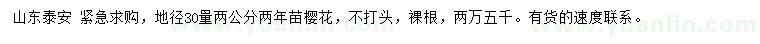 求購地徑30量2公分櫻花