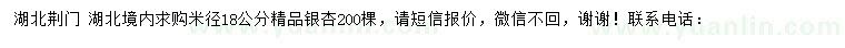 求購米徑18公分精品銀杏
