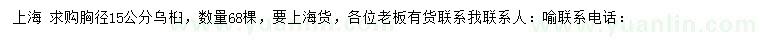 求購胸徑15公分烏桕