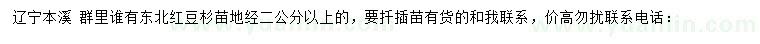 求購(gòu)地徑2公分以上東北紅豆杉苗