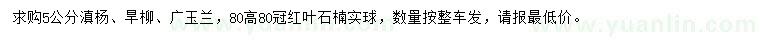 求購滇楊、旱柳、廣玉蘭等