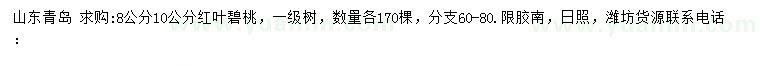 求購8、10公分紅葉碧桃