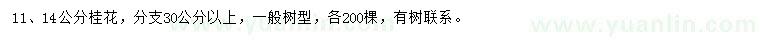求購11、14公分桂花