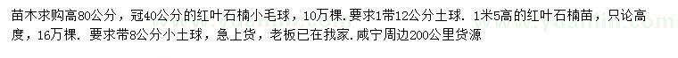 求購高80公分紅葉石楠小毛球、1.5米紅葉石楠