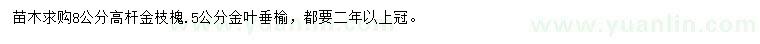 求購8公分高桿金枝槐、5公分金葉垂榆