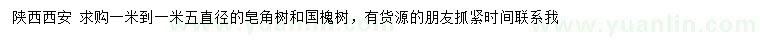 求購直徑1-1.5米皂角樹、國槐樹
