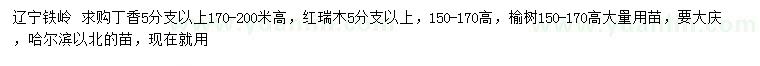 求購丁香、紅瑞木、榆樹