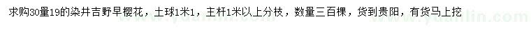 求購30量19公分染井吉野早櫻花